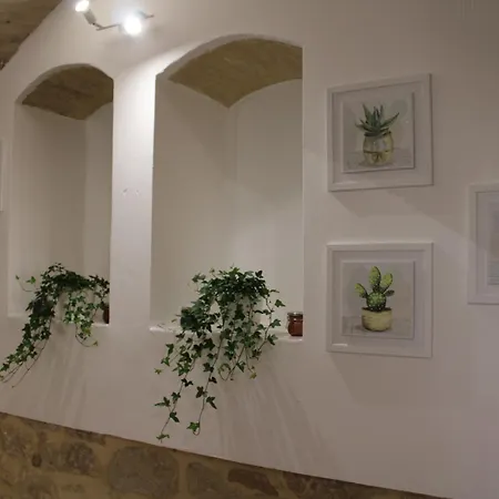 Domus Mea Crecchio